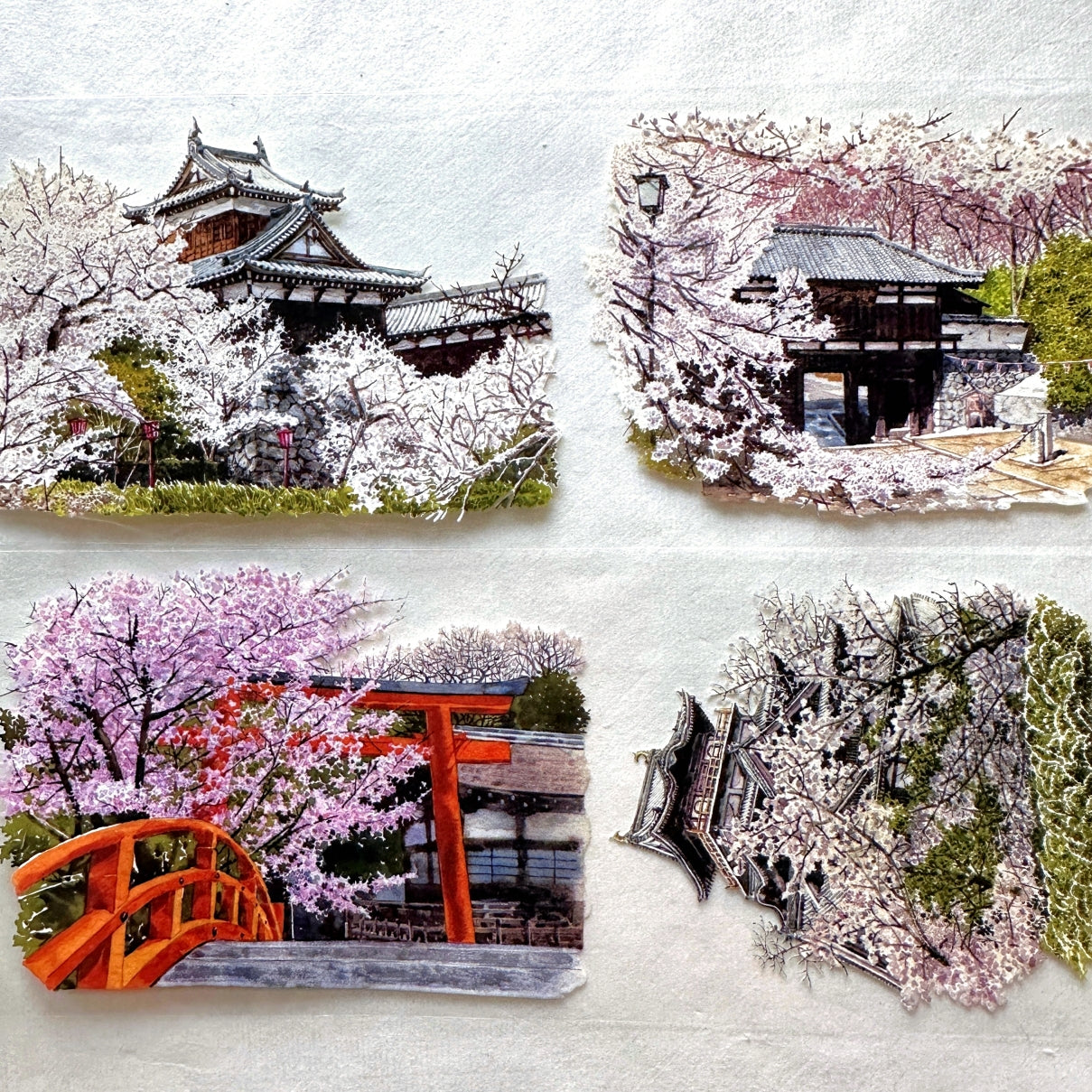 品川日-SUN - The Color of Cherry Blossoms 8 cm crystal ink PET tape SAMPLES