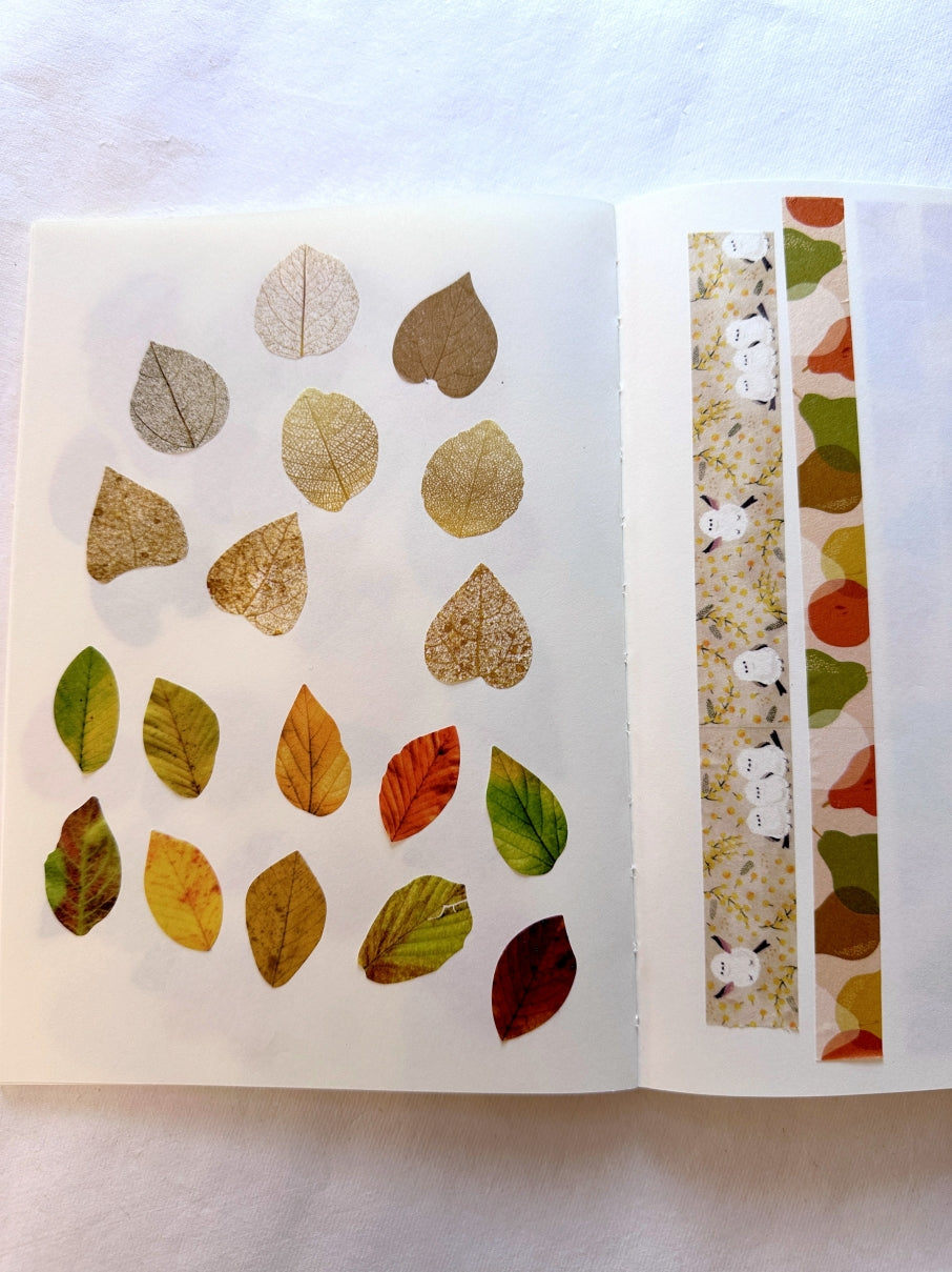 Common Modern x SAIEN - Pear Season washi tape (Whole Roll)