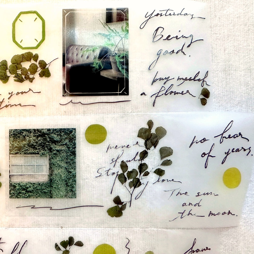 Shiwu Studio - Collage 06 PET tape SAMPLES