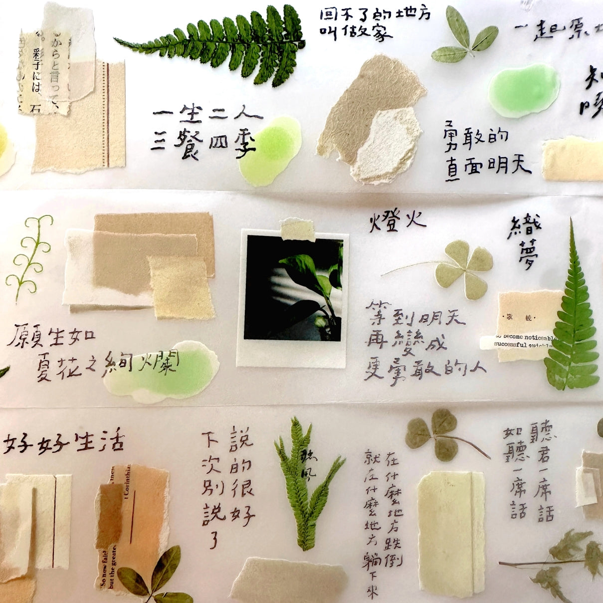 Shiwu Studio - Collage 08 PET tape SAMPLES