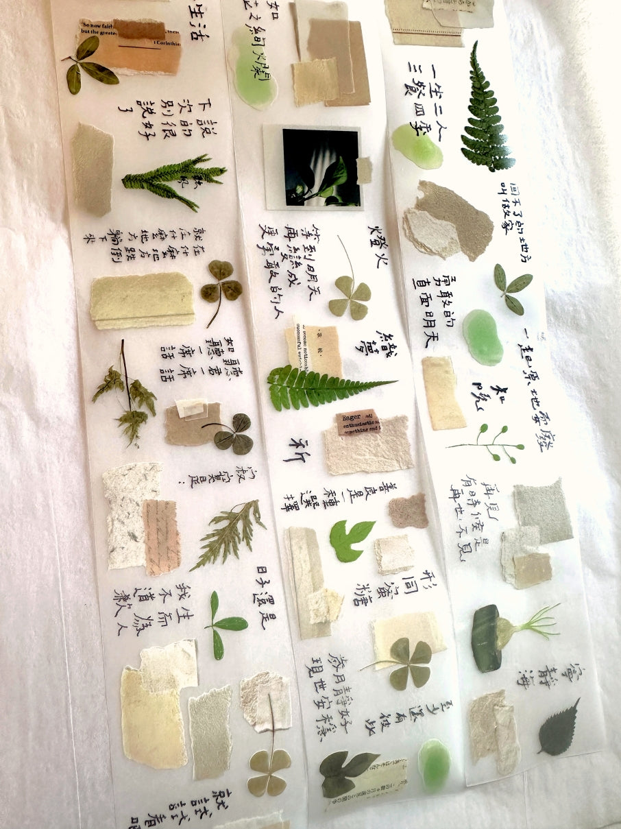 Shiwu Studio - Collage 08 PET tape SAMPLES