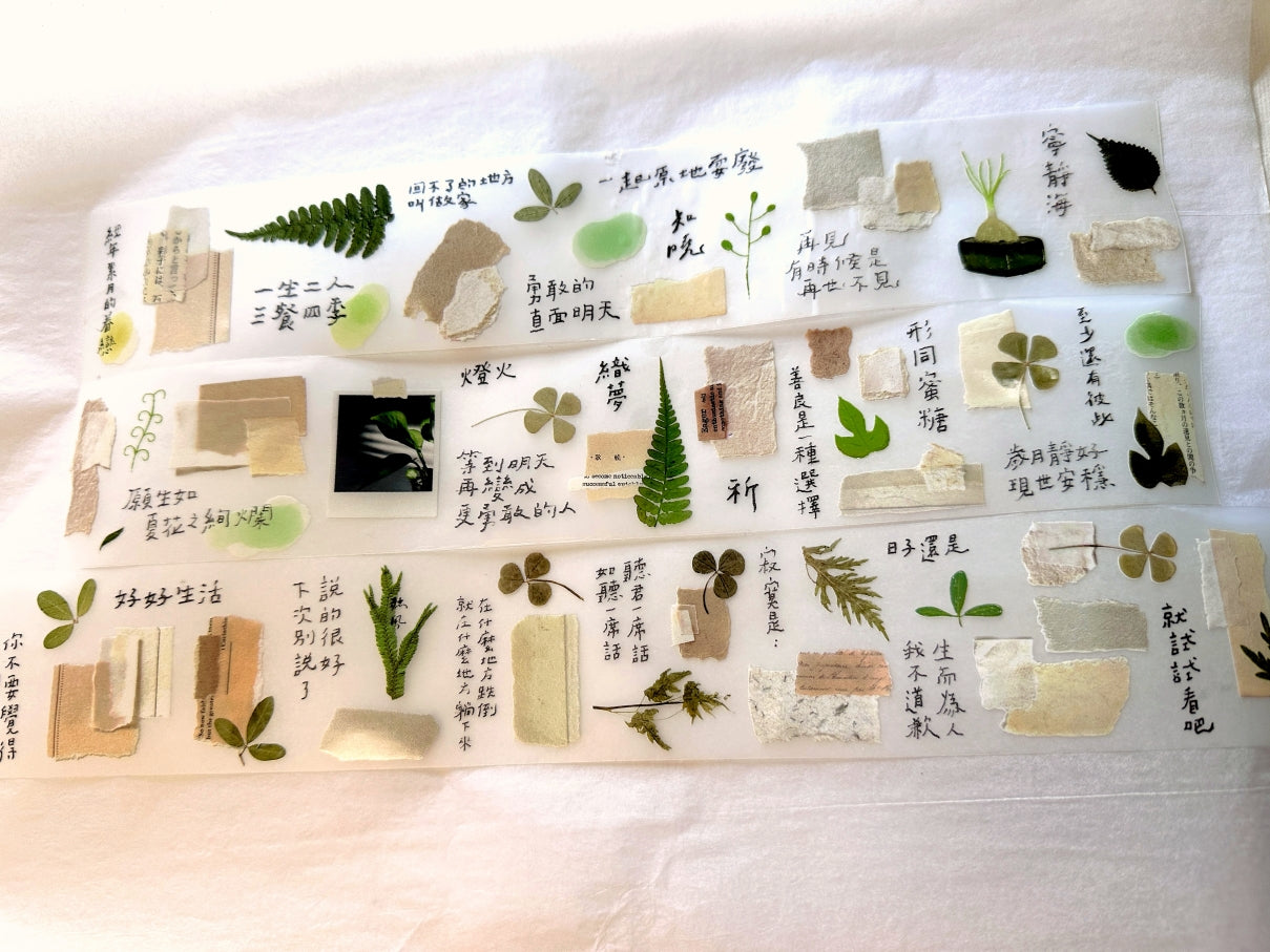 Shiwu Studio - Collage 08 PET tape SAMPLES