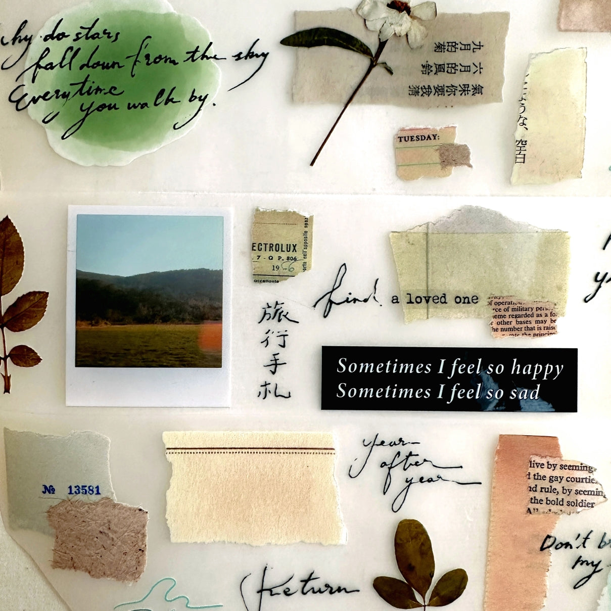Shiwu Studio - Collage 11 PET tape SAMPLES