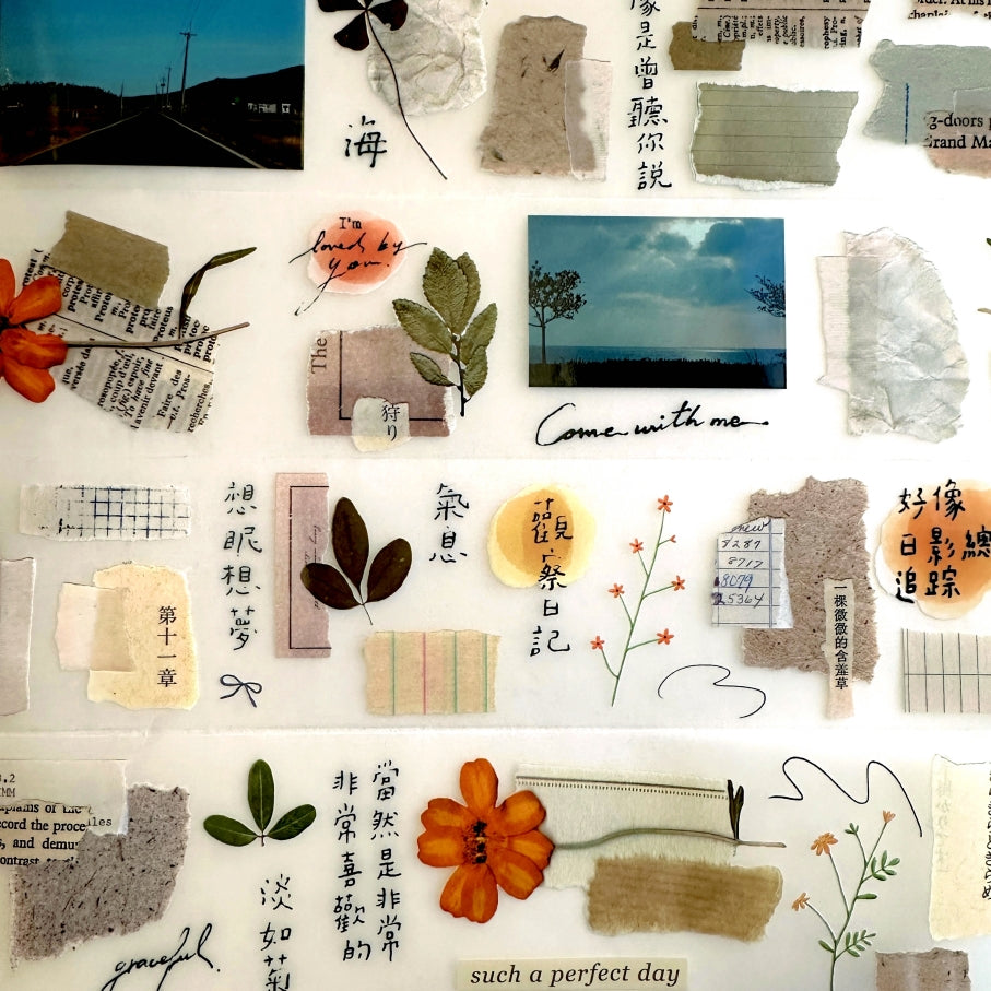 Shiwu Studio - Collage 12 PET tape SAMPLES
