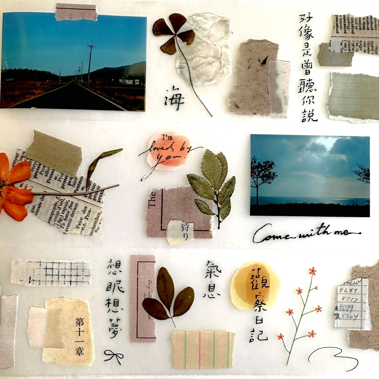Shiwu Studio - Collage 12 PET tape SAMPLES