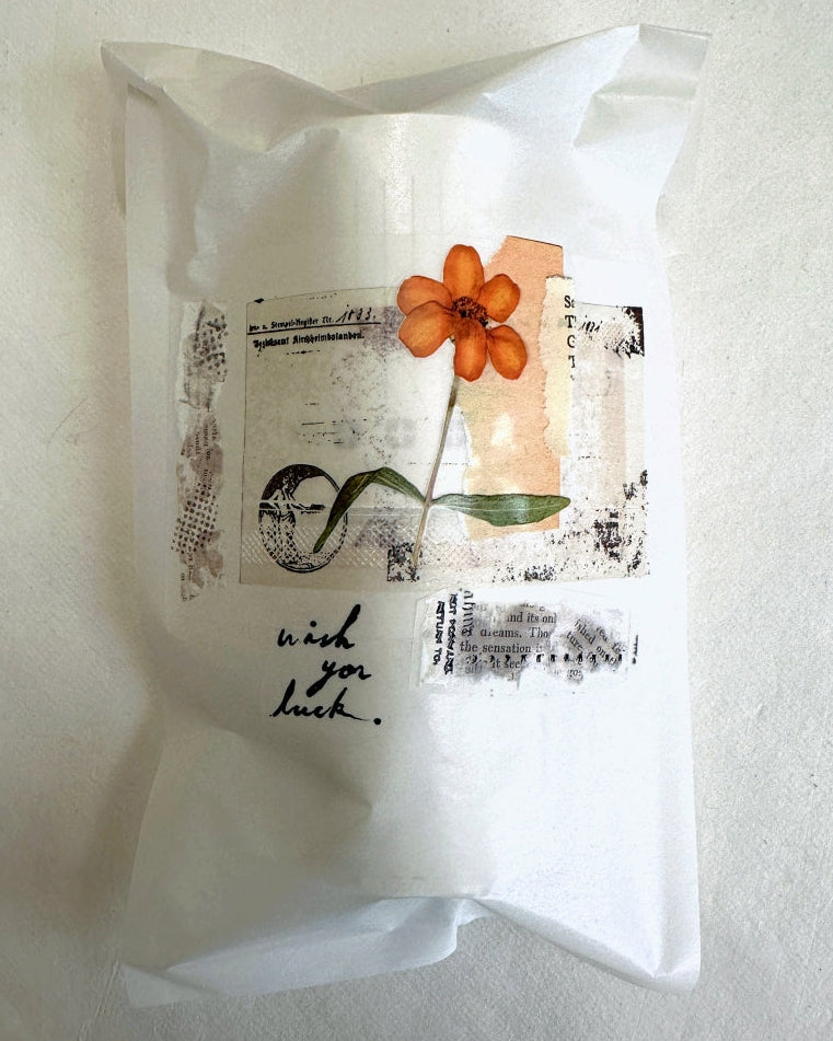 Shiwu Studio - Collage 12 PET tape SAMPLES