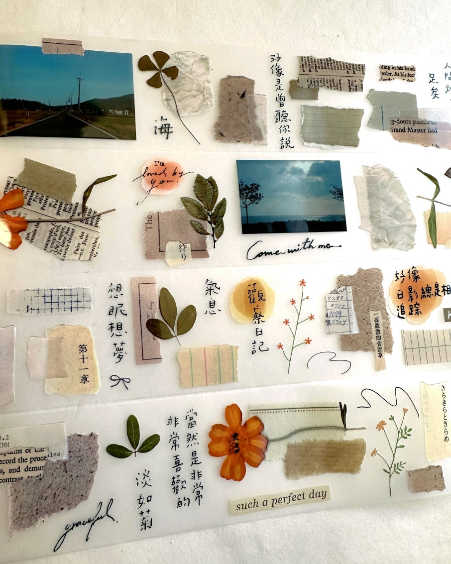 Shiwu Studio - Collage 12 PET tape SAMPLES