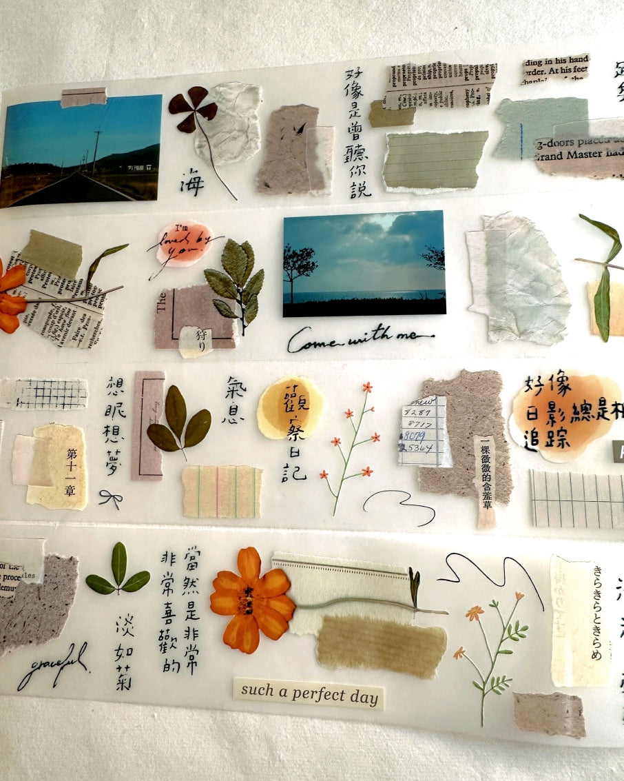 Shiwu Studio - Collage 12 PET tape SAMPLES