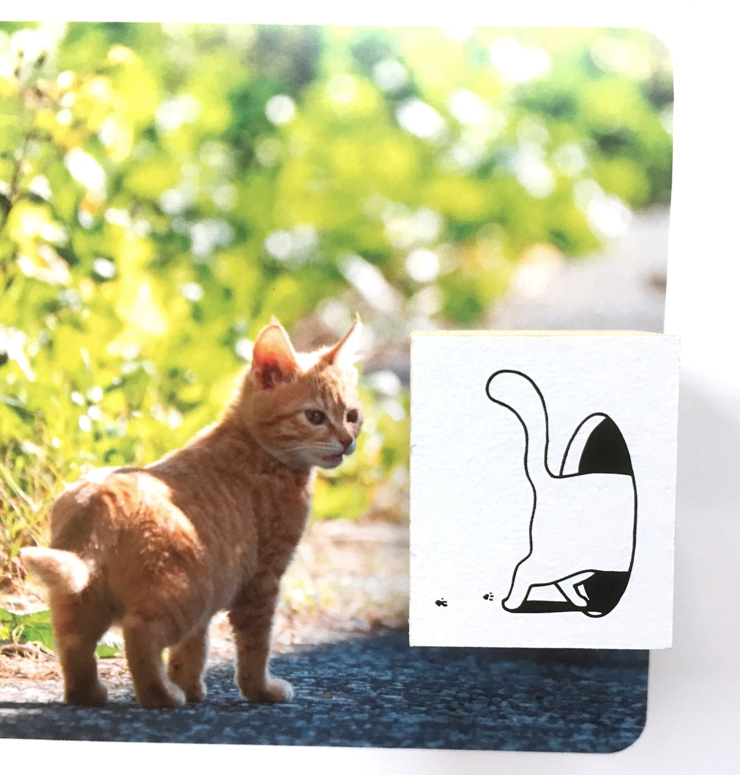 Sparking Moment - Cat Exit rubber stamp