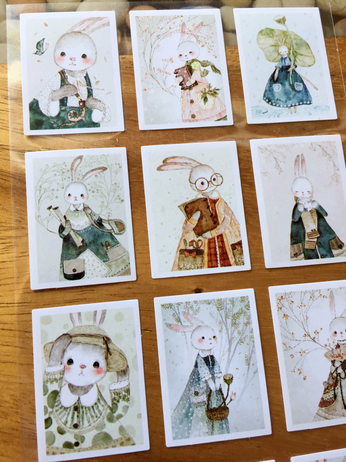 Stickii Club - assorted cute stickers [Like New]