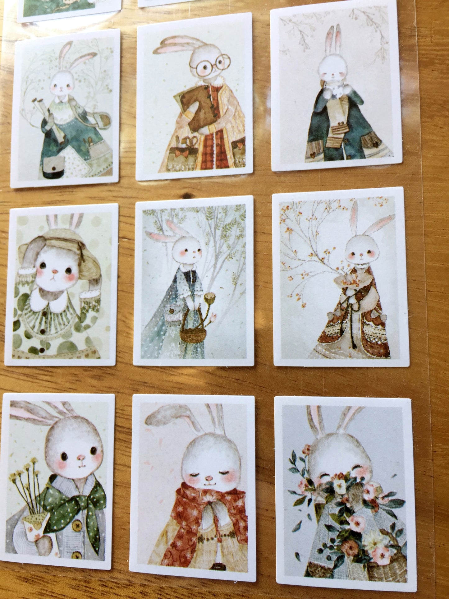 Stickii Club - assorted cute stickers [Like New]