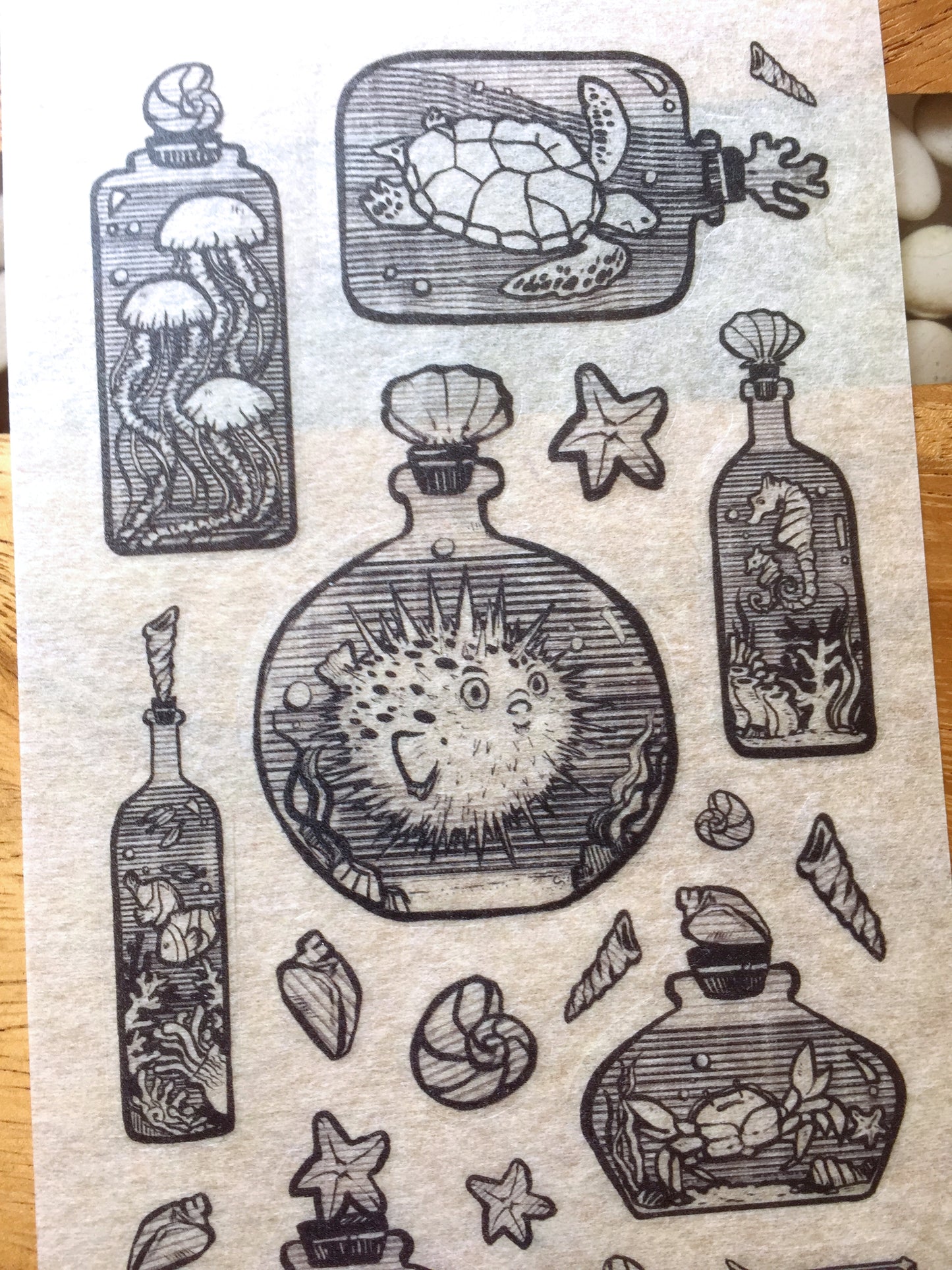 Stickii Club - assorted cute stickers [Like New]
