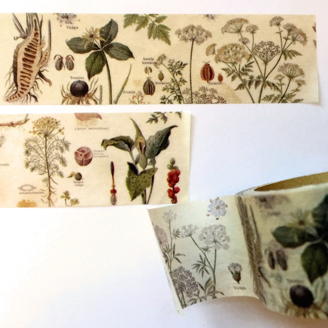 Sunny Sunday - Poison Plants washi tape SAMPLES