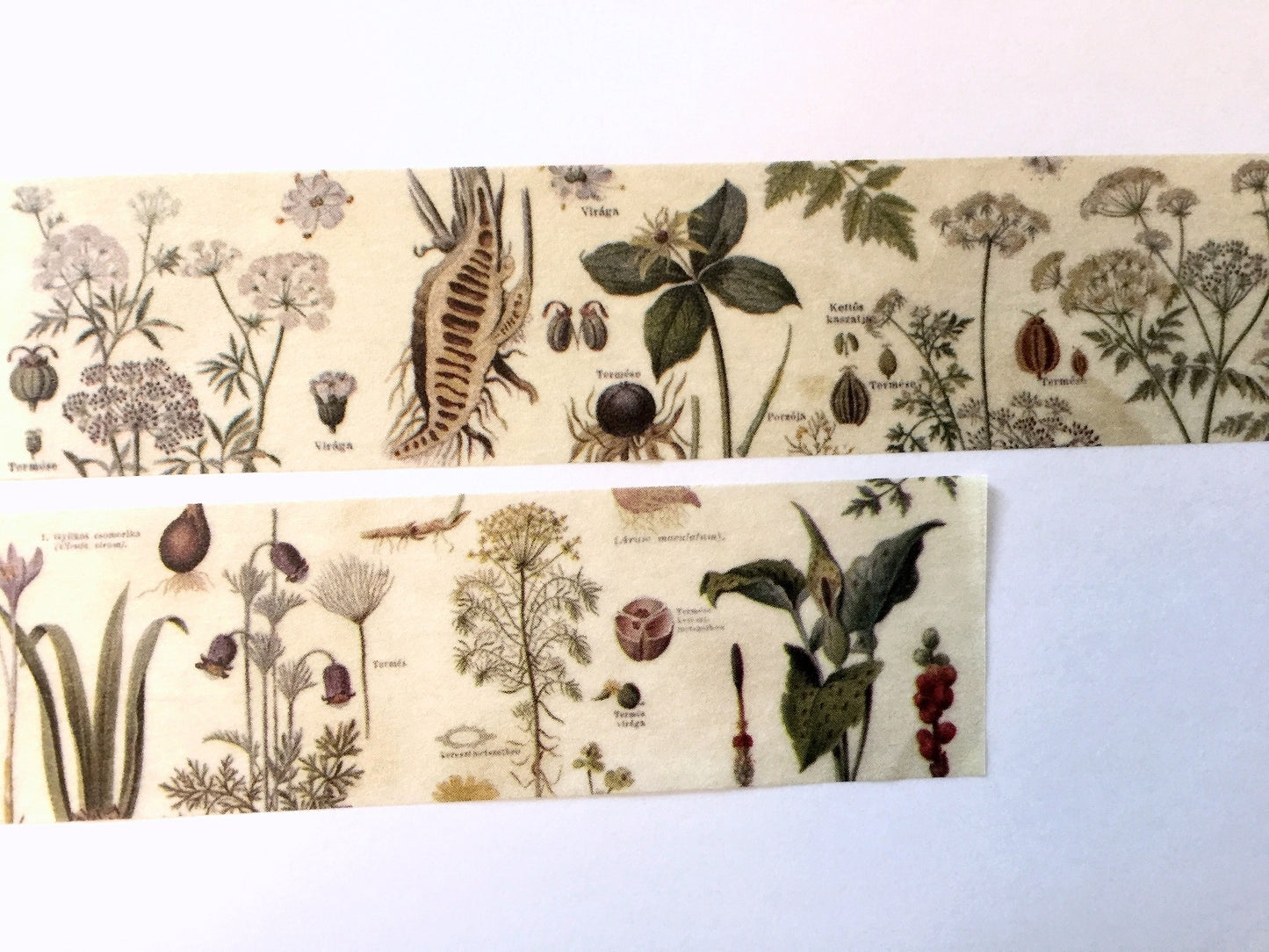 Sunny Sunday - Poison Plants washi tape SAMPLES