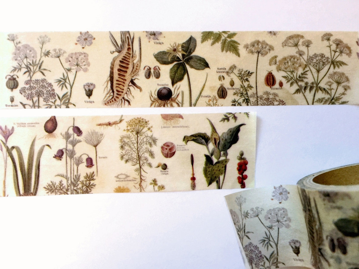 Sunny Sunday - Poison Plants washi tape SAMPLES