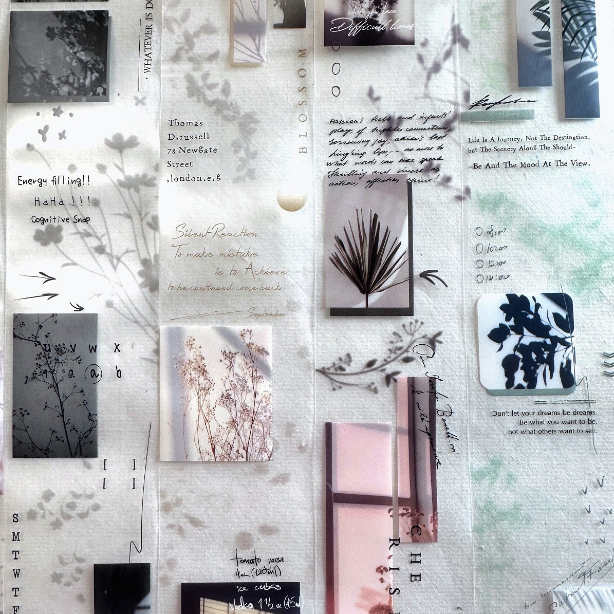 Tomato Jam Girl - Plant Light & Shadow Tape series PET tapes SAMPLES