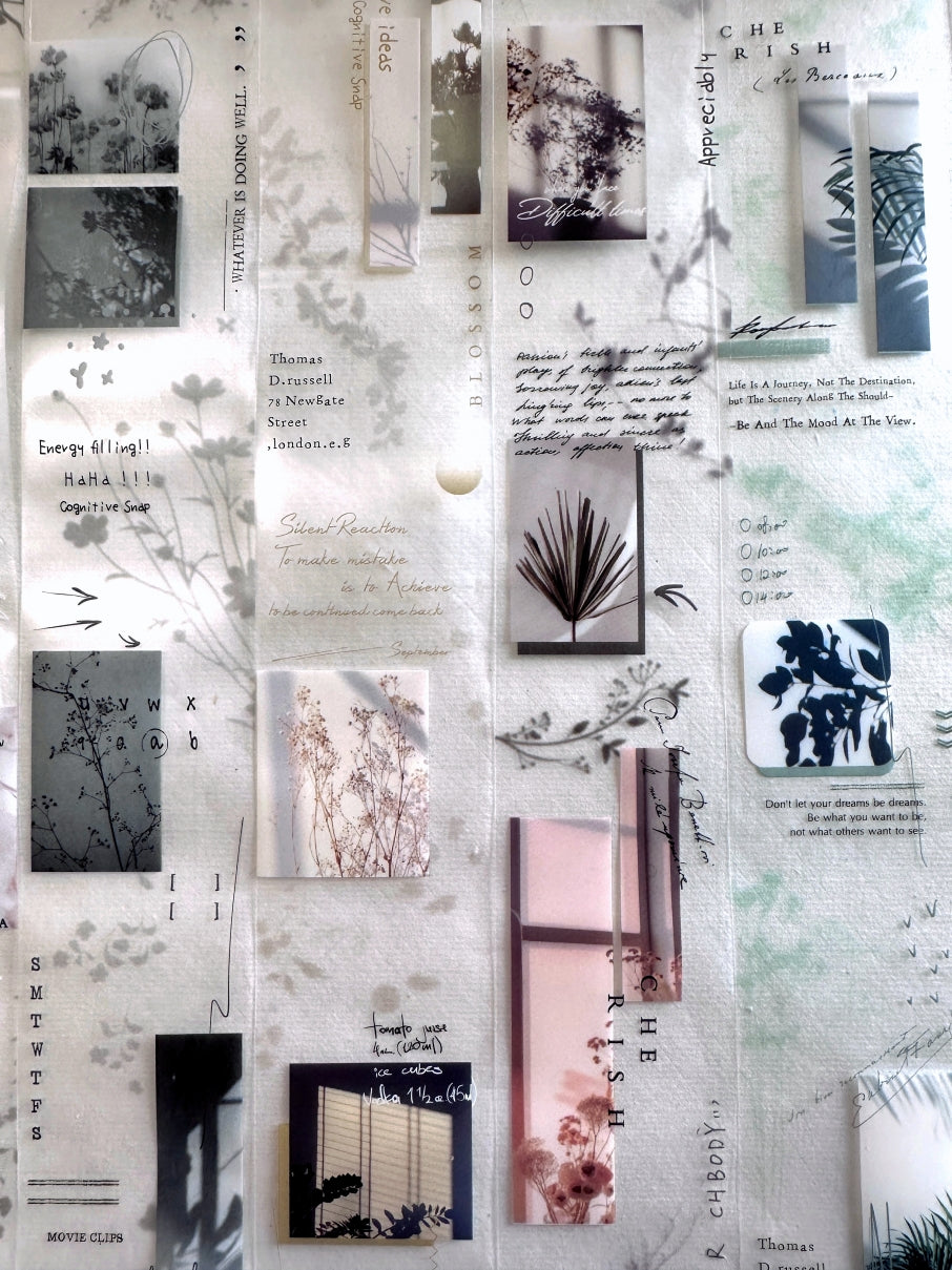 Tomato Jam Girl - Plant Light & Shadow Tape series PET tapes SAMPLES