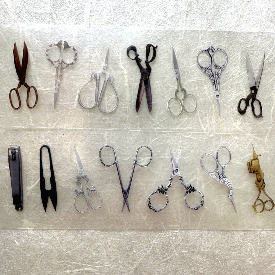 Tomato Jam Girl (Brand) - Collectible series kiss-cut PET tape SAMPLES