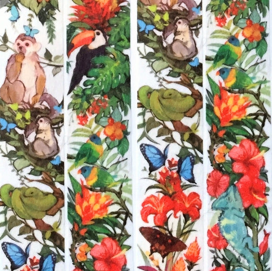 Tachibana Kai - Jambo! washi tape SAMPLES
