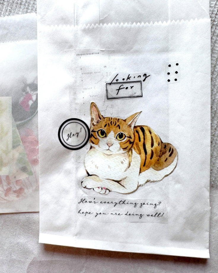 Traveling on Paper - A Letter PET tape SAMPLES