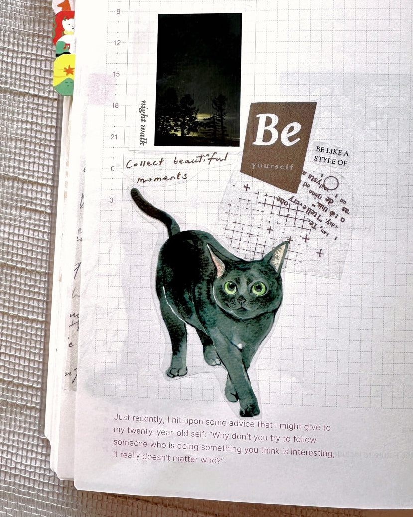 Traveling on Paper - Moonlight PET tape SAMPLES