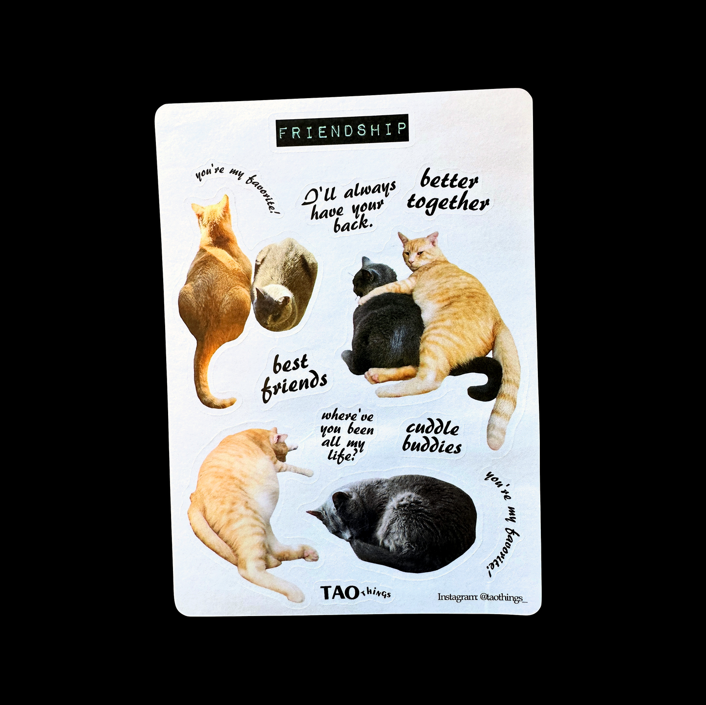 Cat BFF - sticker series by TAOthings Studio