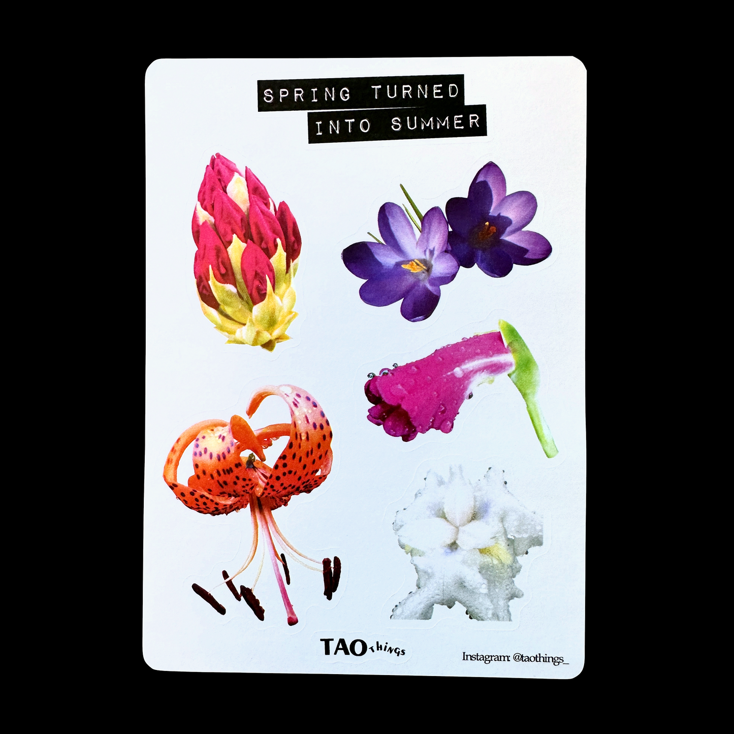 Spring into Summer - sticker sheet by TAOthings Studio