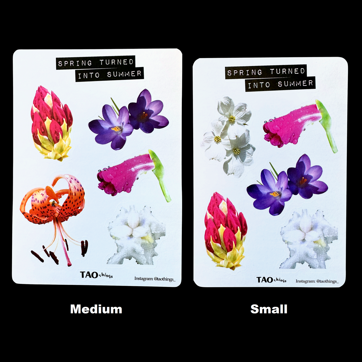 Spring into Summer - sticker sheet by TAOthings Studio