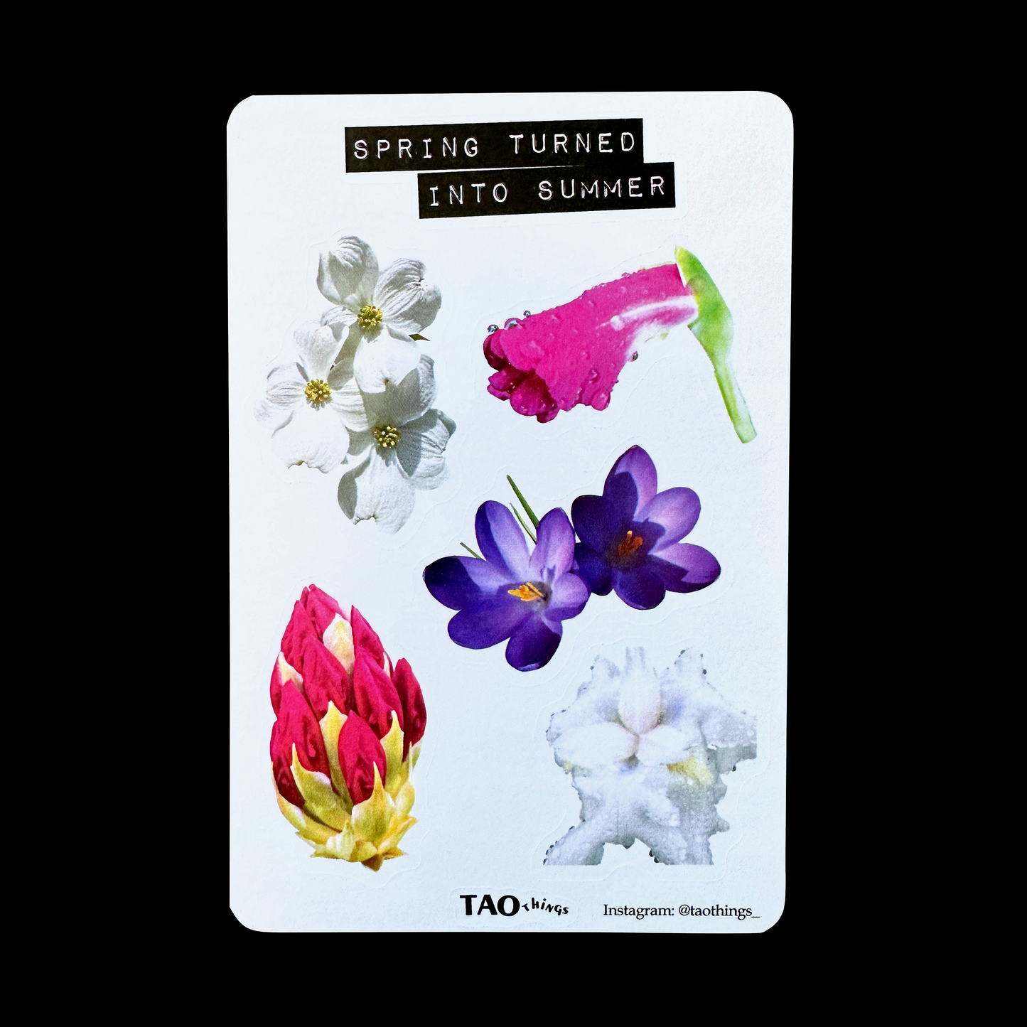 Spring into Summer - sticker sheet by TAOthings Studio