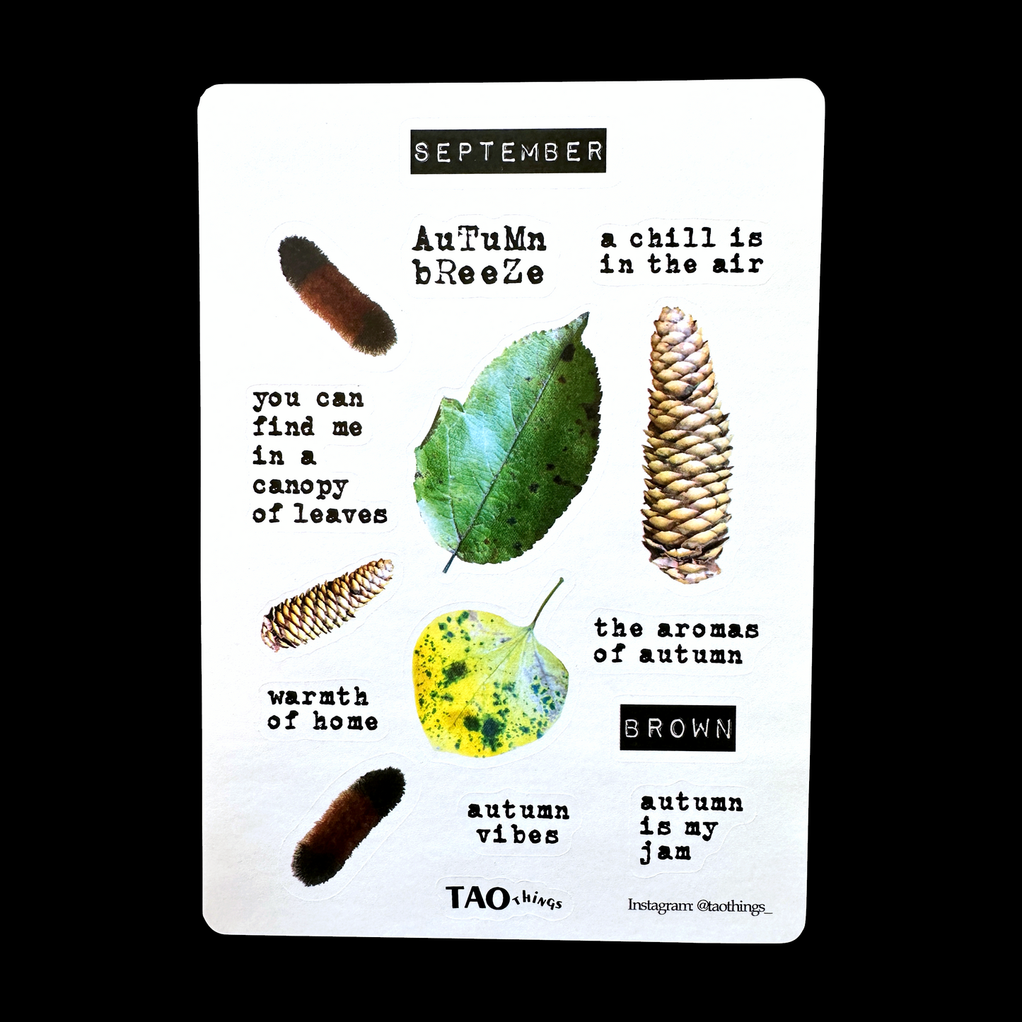 September - sticker sheet by TAOthings Studio