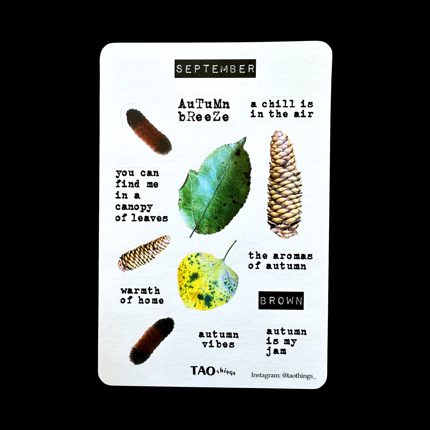 September - sticker sheet by TAOthings Studio