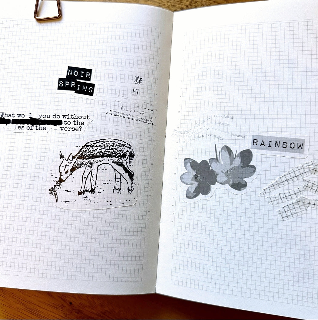 Monochrome Rainbow - sticker sheet by TAOthings Studio