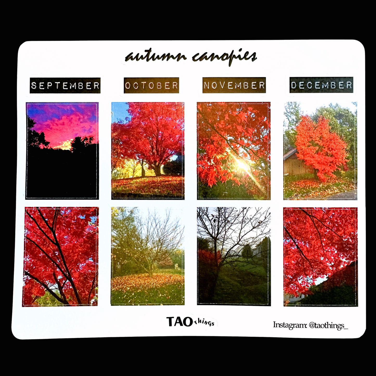 Autumn Canopies - sticker sheet by TAOthings Studio