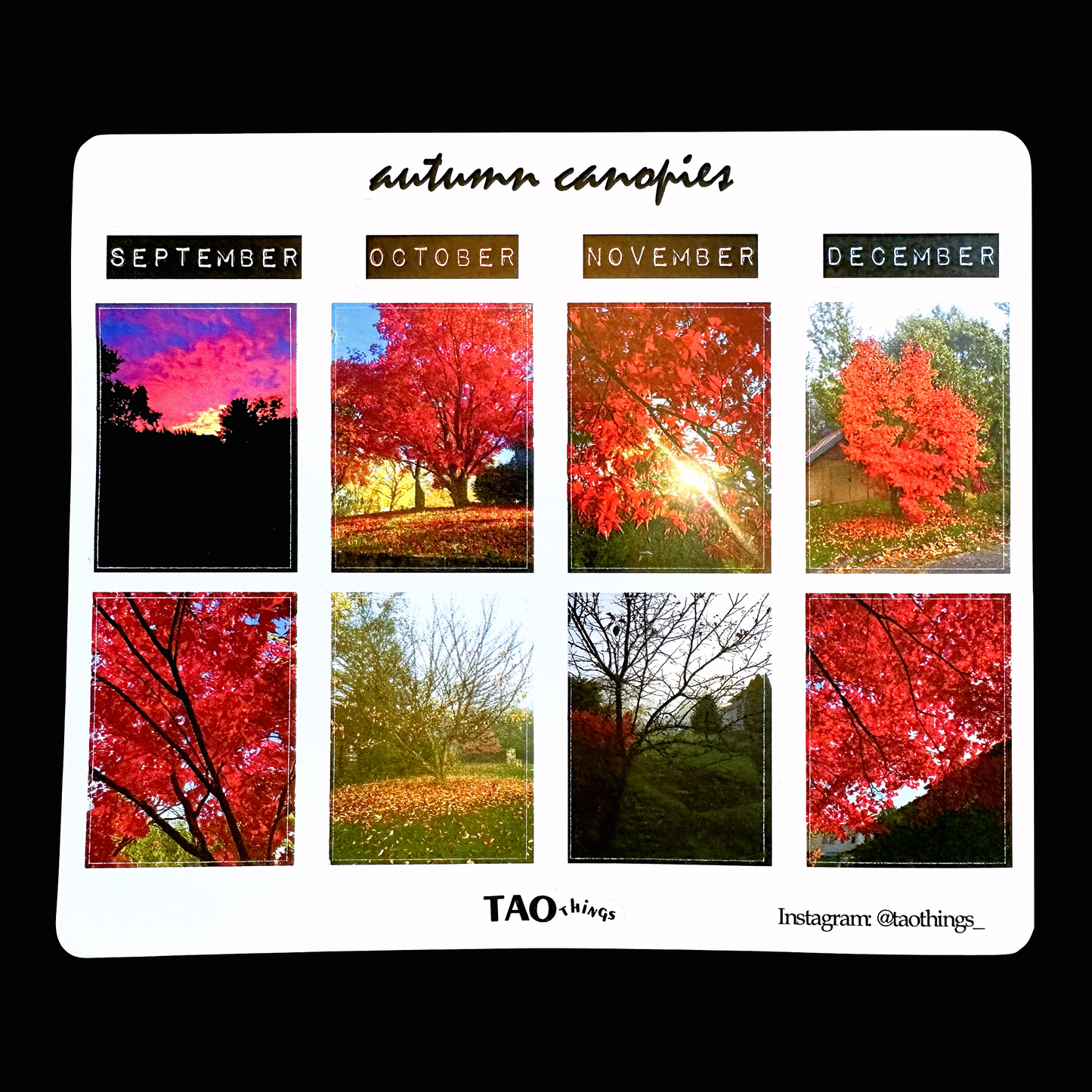 Autumn Canopies - sticker sheet by TAOthings Studio