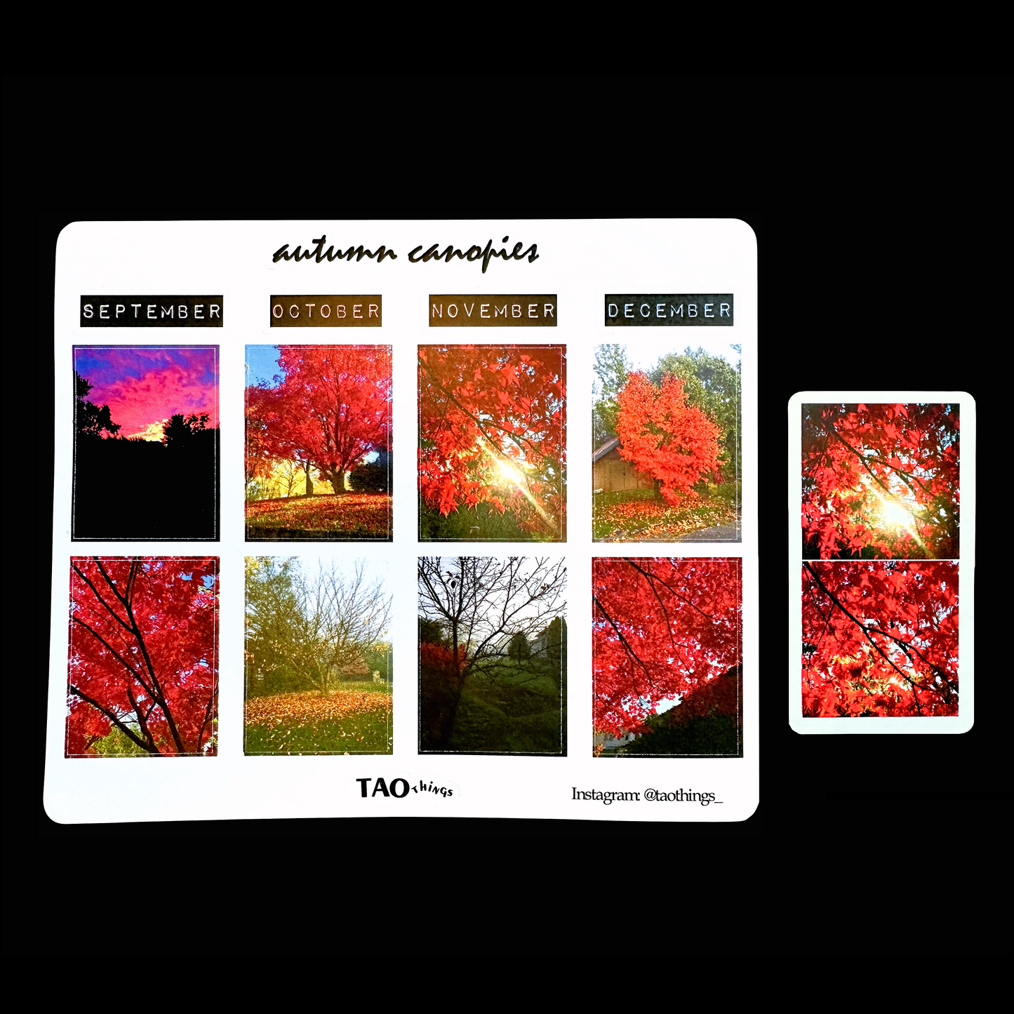 Autumn Canopies - sticker sheet by TAOthings Studio