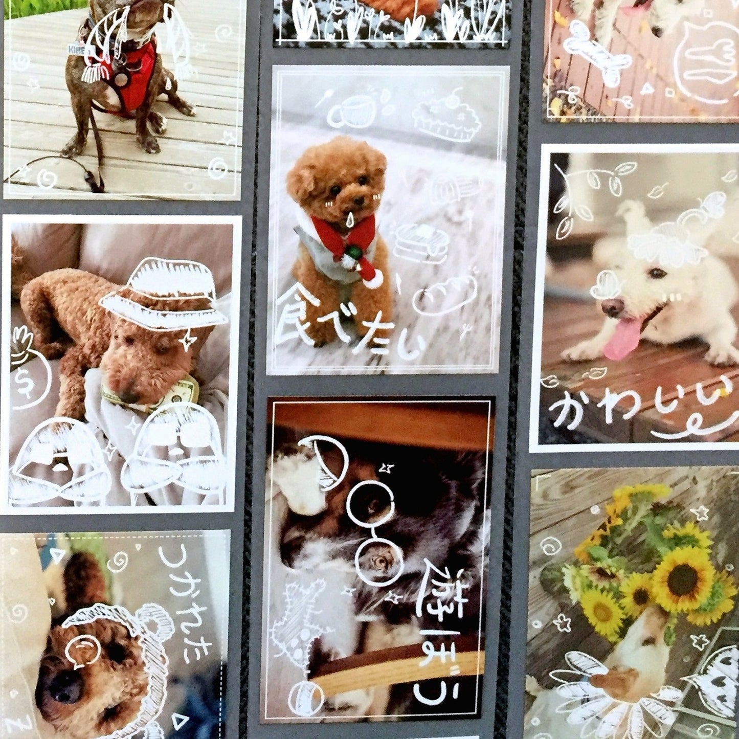 TokubetsuMemori - Happy Doggo Happy Life PET tape SAMPLES