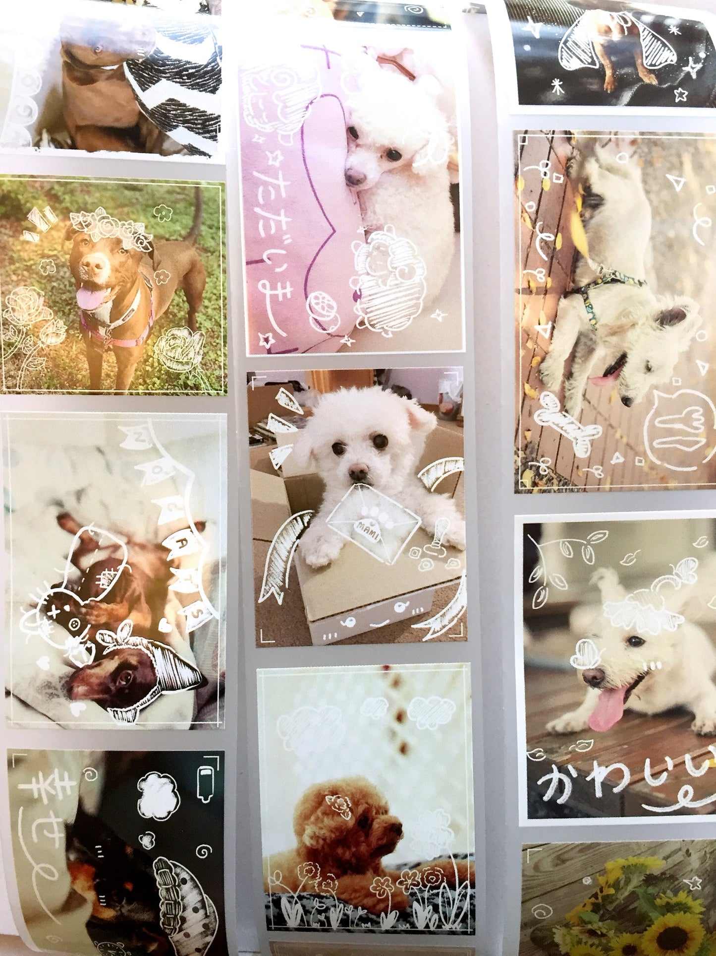TokubetsuMemori - Happy Doggo Happy Life PET tape SAMPLES
