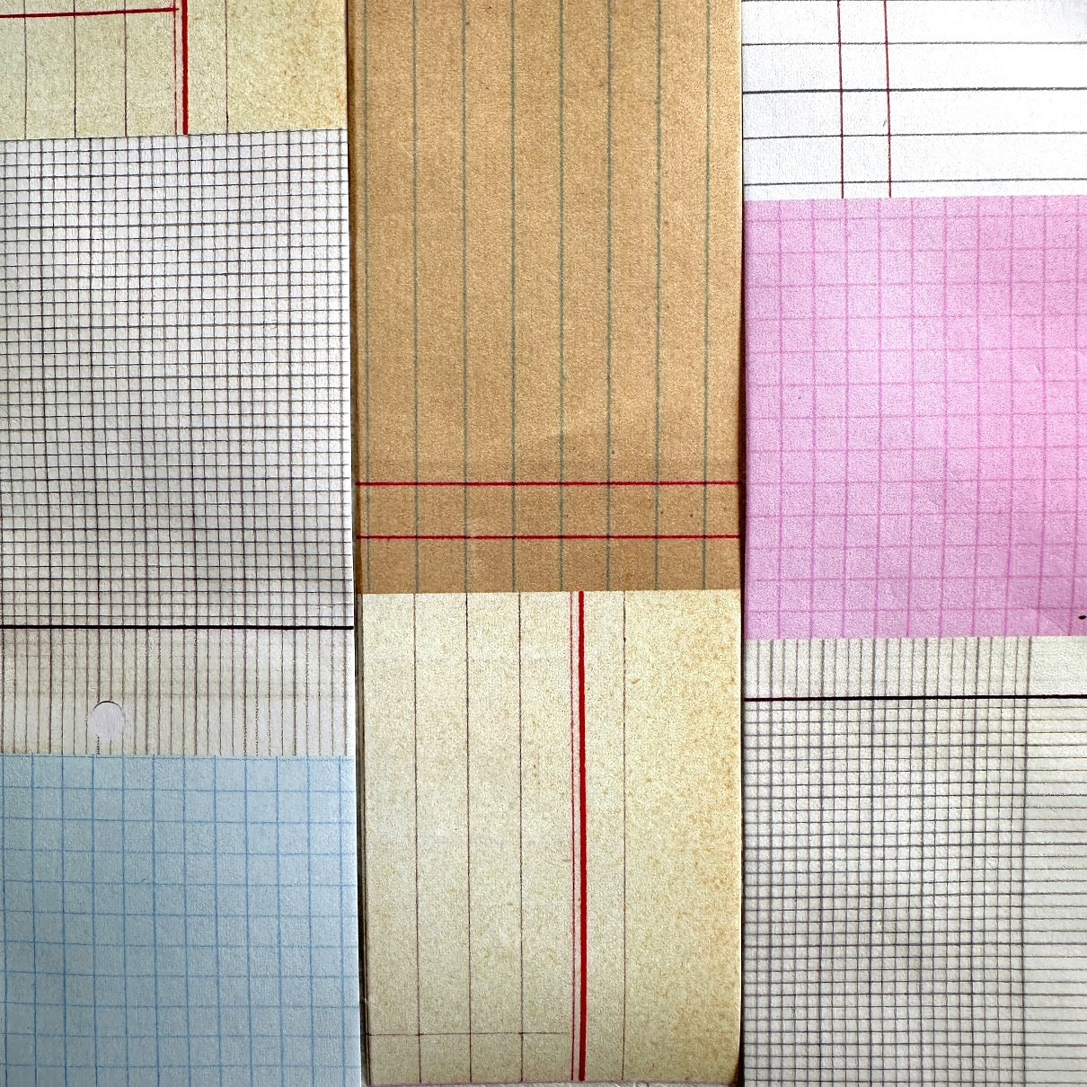 Two Raccoons - Grid matte paper tape SAMPLES