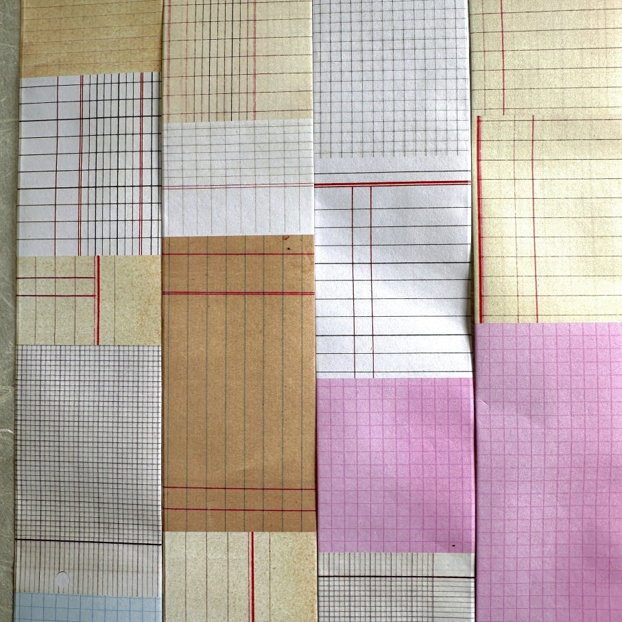 Two Raccoons - Grid matte paper tape SAMPLES