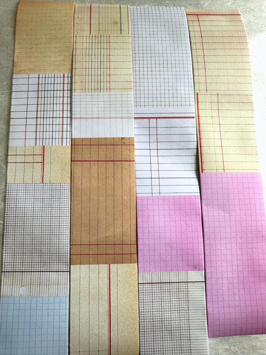 Two Raccoons - Grid matte paper tape SAMPLES
