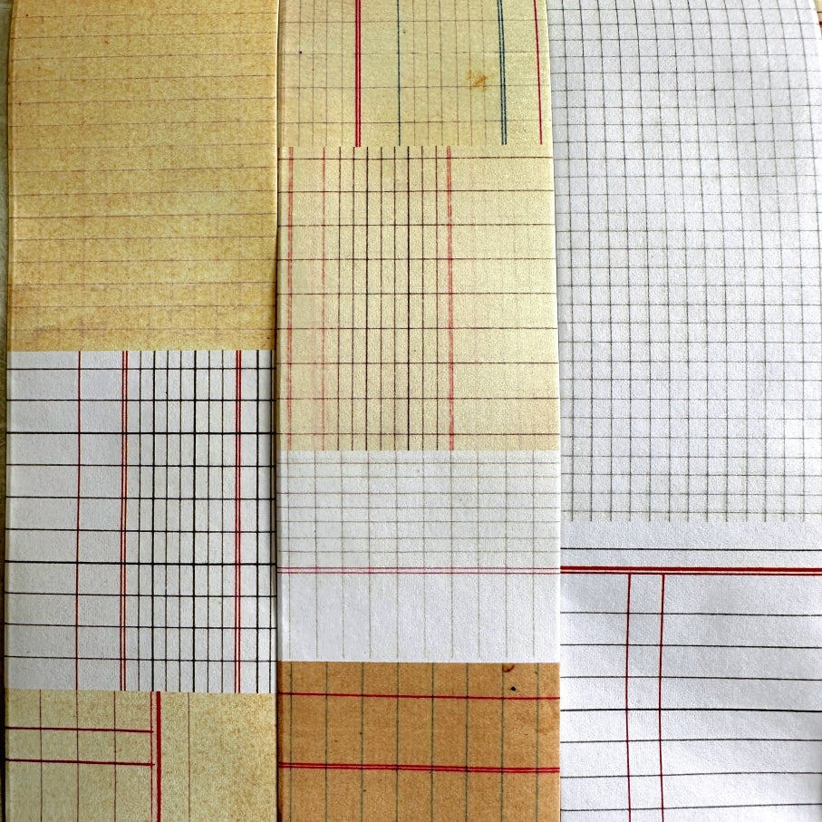 Two Raccoons - Grid matte paper tape SAMPLES