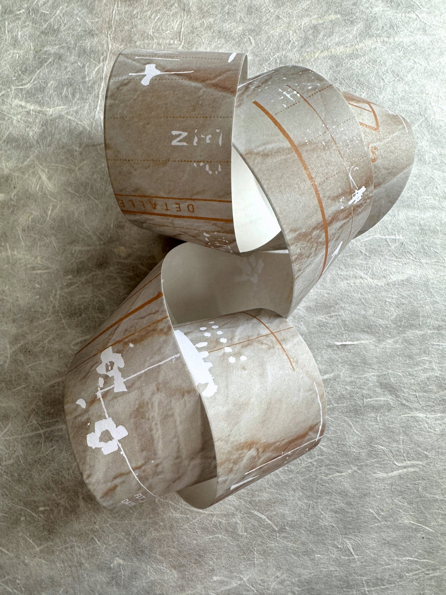 Two Raccoons - retro vintage-style collage matte paper tape SAMPLES