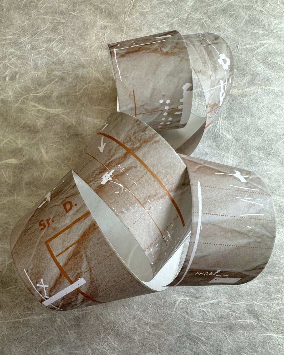 Two Raccoons - retro vintage-style collage matte paper tape SAMPLES