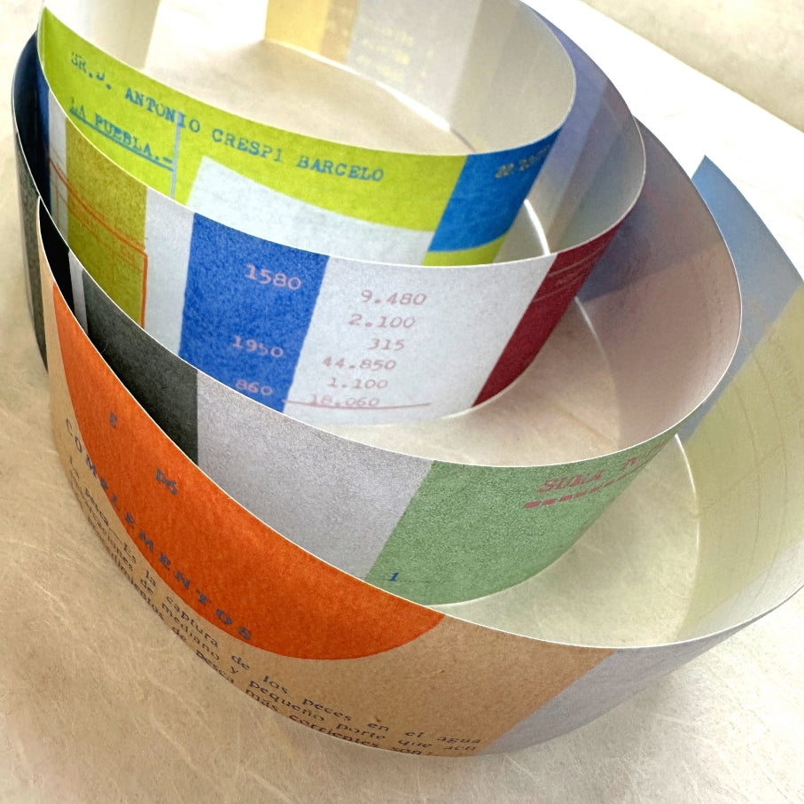 Two Raccoons - retro vibes color block collage matte paper tape SAMPLES