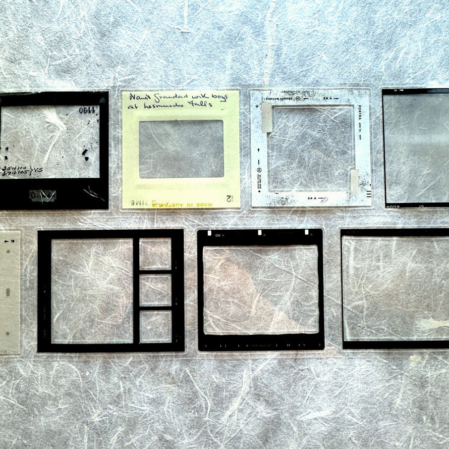 Two Raccoons - film frames kiss-cut PET tape SAMPLES