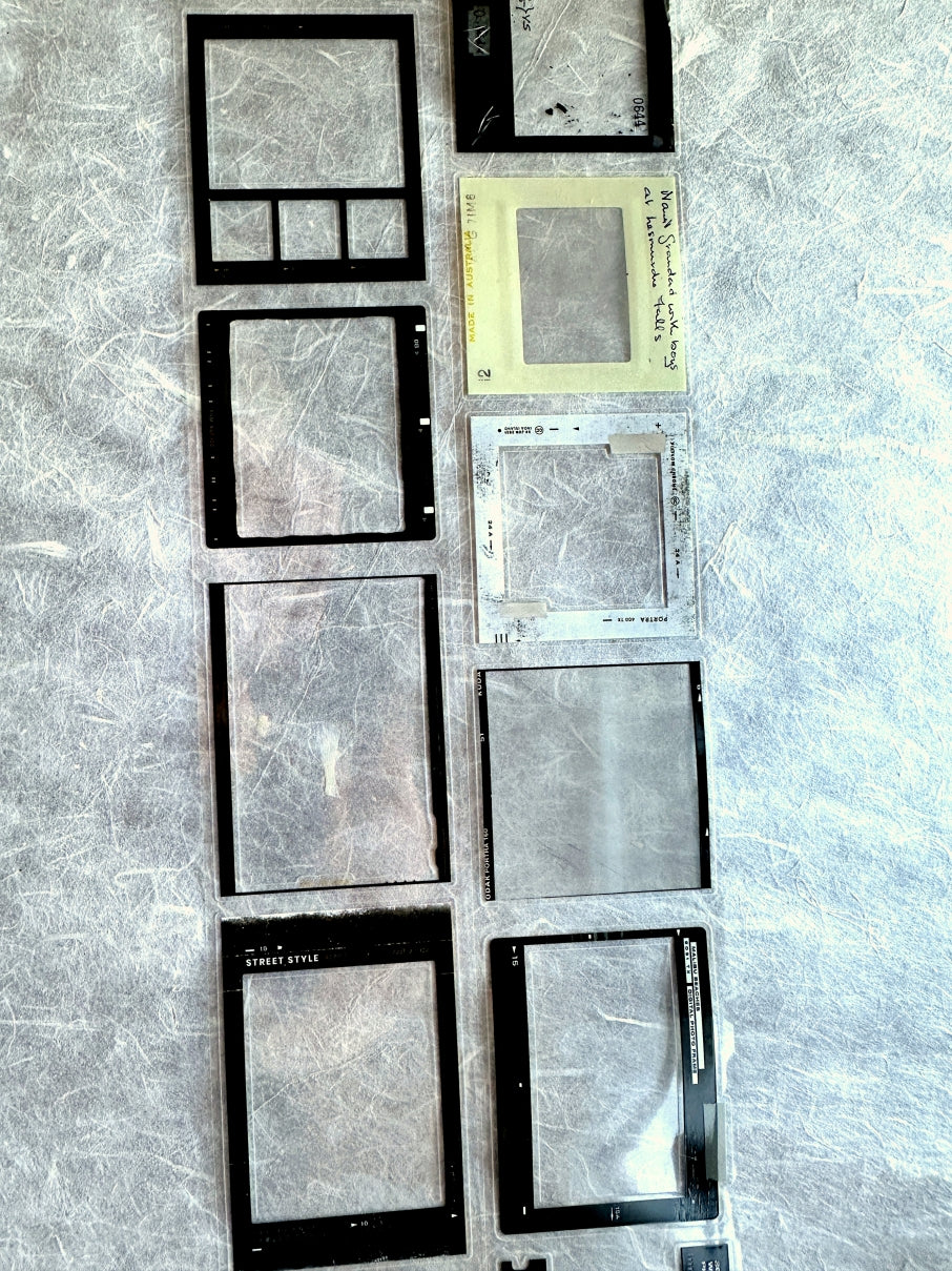 Two Raccoons - film frames kiss-cut PET tape SAMPLES