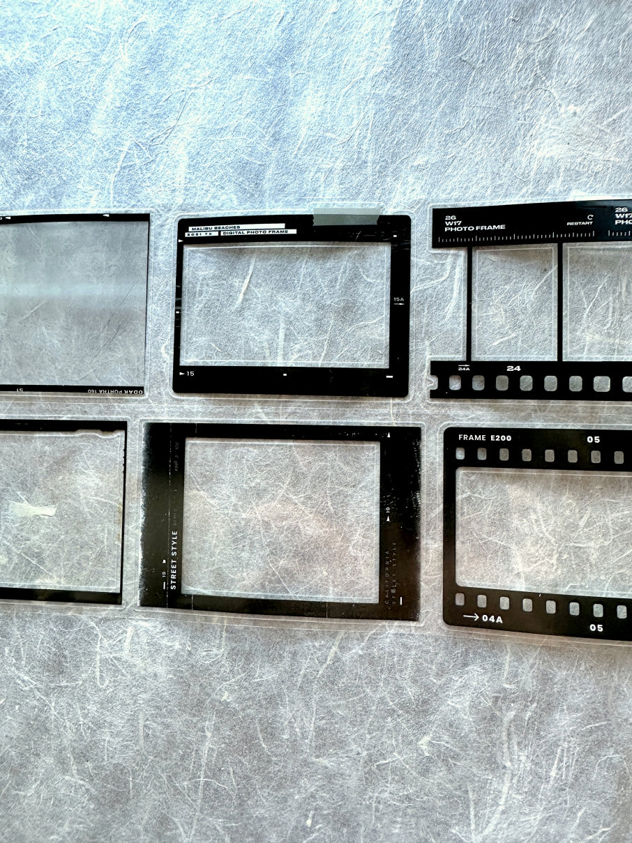 Two Raccoons - film frames kiss-cut PET tape SAMPLES