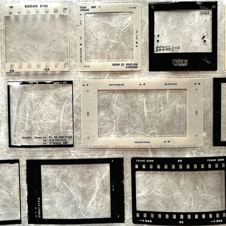 Two Raccoons - film frames kiss-cut PET tape SAMPLES