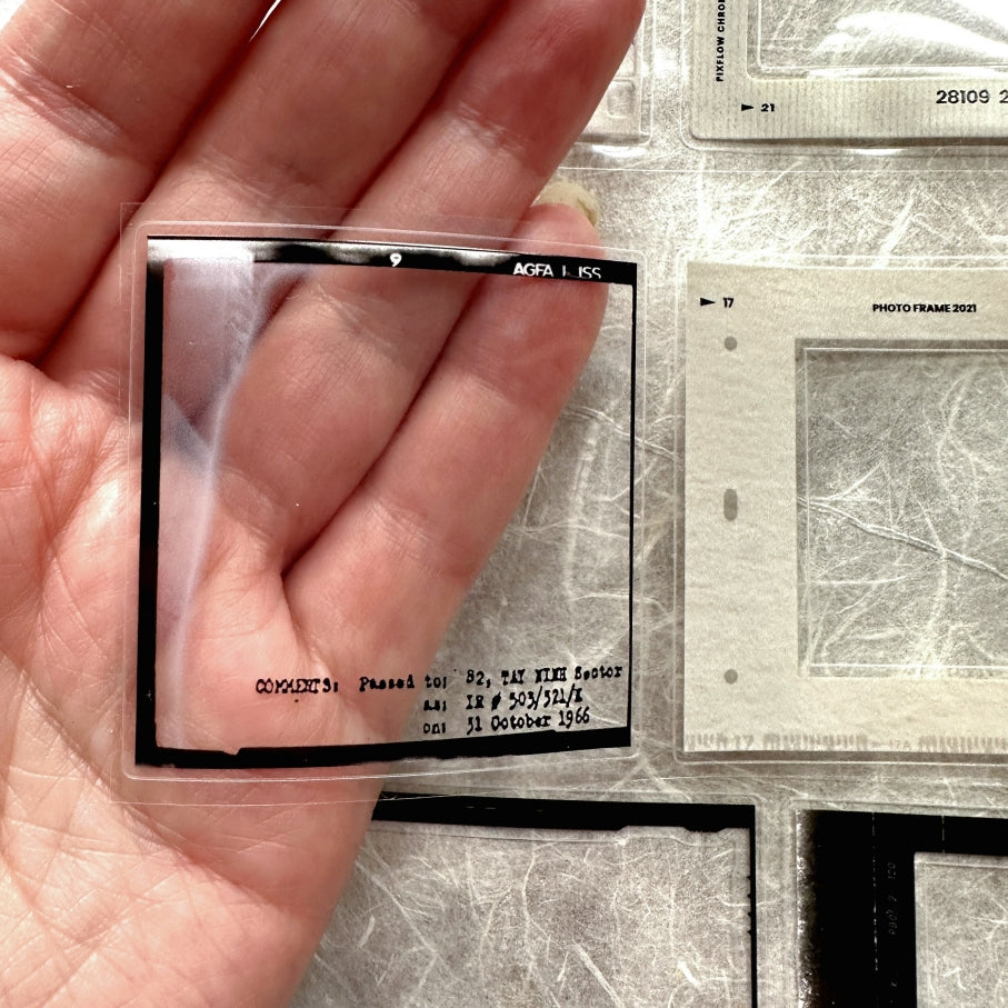 Two Raccoons - film frames kiss-cut PET tape SAMPLES