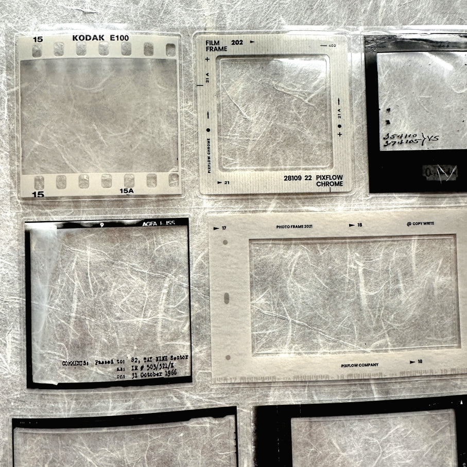 Two Raccoons - film frames kiss-cut PET tape SAMPLES